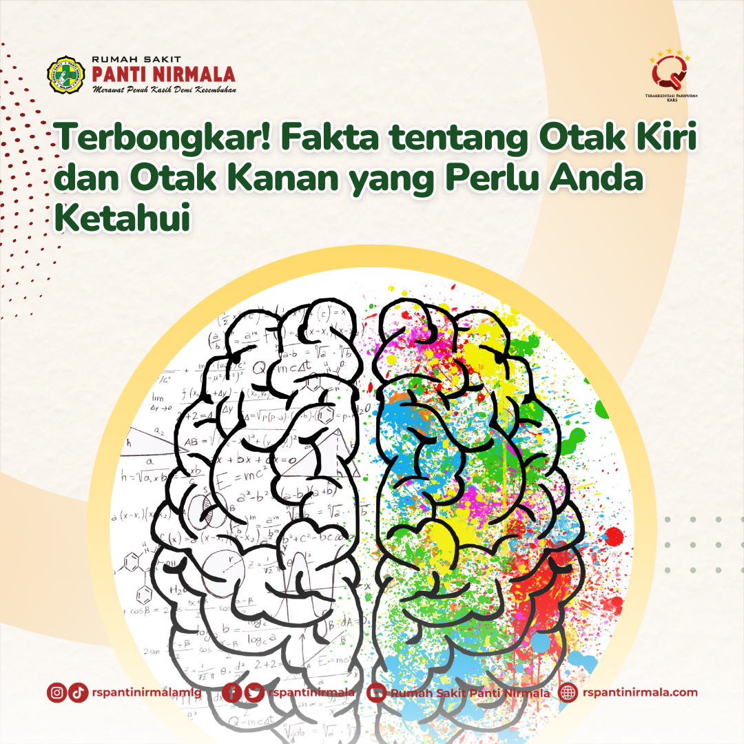 Terbongkar! Fakta tentang Otak Kiri dan Otak Kanan yang Perlu Anda Ketahui