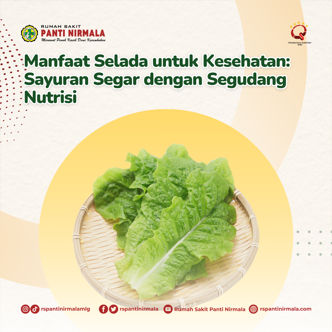 Manfaat Selada untuk Kesehatan: Sayuran Segar dengan Segudang Nutrisi