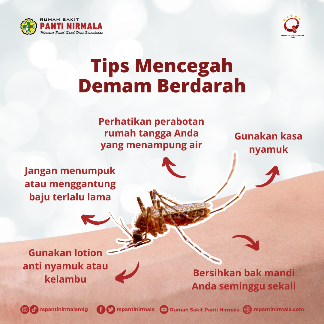 Tips Mencegah Demam Berdarah